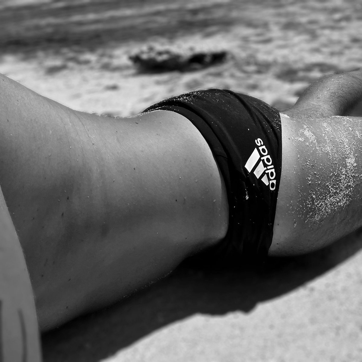 Paulo 🦚 tweet media