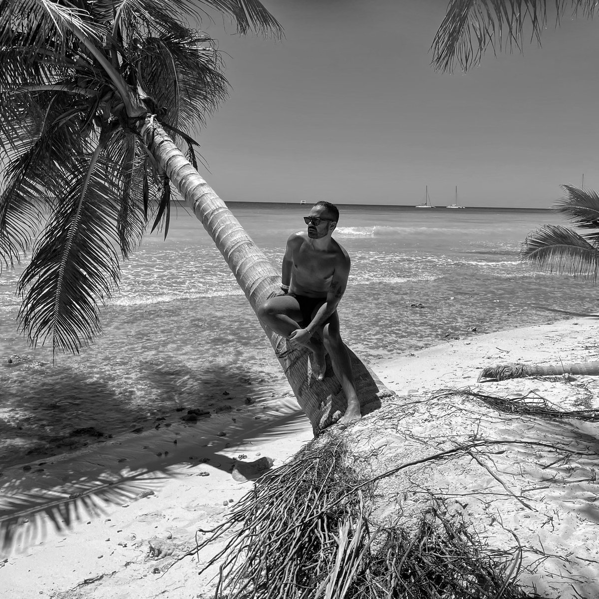 Paulo 🦚 tweet media