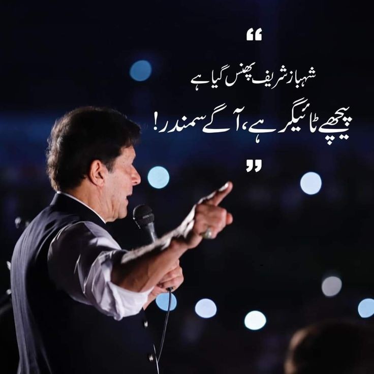 PtiPromo's tweet photo. 🍁تحریک انصاف کے ایکٹیو کارکن ایک دوسرے کو فالو کر کے فالو بیک لازمی دیں۔
🍁اس ٹویٹ کو لائیک اور ری ٹویٹ کرنا مت بھولیں۔
@PtiPromo_backup
@Aamna682
@RimshaKhanKhi
@AtifNajma
@Mahroopti
@FarahChotani 
@musakha24241211 
@Mansoor_writes1
@MhasnainHa67216
@Samadrana777
@MarthRauf
@ItxAhsanBhatti
@zola_nazli
@Bilalsattar55
@nafees_asad0
@abhi_tk_single
@Naqqashali12
@DrMuzamilAssar
@ziakhanofficia5
@Adnankhanamaldi
@Mo_Bilal_Khan