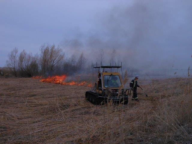 LSPCG's tweet image. Weather permitting, the phragmites patches in the L Lake wetland off Outer Drive in Port Franks will be burned Thursday March 30th as part of the control project by NCC, LSPCG, ABCA and MLS. The burn will be conducted by Wildfire Specialists Inc. Be aware smoke may be visible.