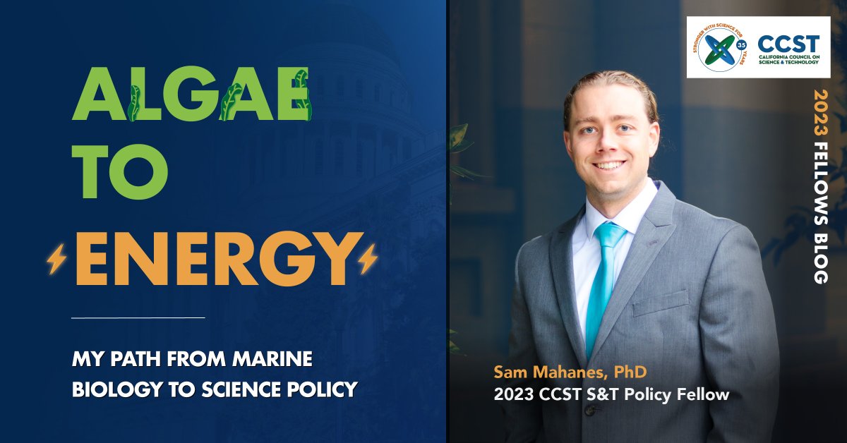 CCST Science & Technology Policy Fellowship tweet media