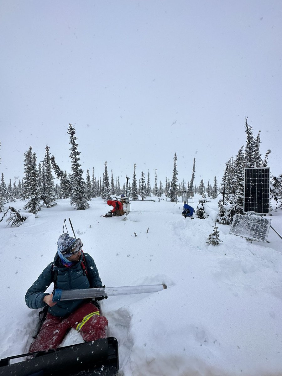 JohnnyR_NU's tweet image. First few days at TVC: taking snow pit, SWE and Snow Depth Probe measurements across two transects.
