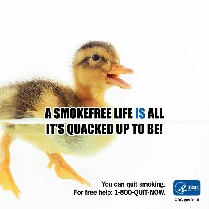 CDCTobaccoFree's tweet photo. Begin your quit journey today to feel the benefits of a smokefree life. For resources to help you quit, visit https://t.co/N6zYMofVuw. #WednesdayWisdom https://t.co/I0fQL6L8FC