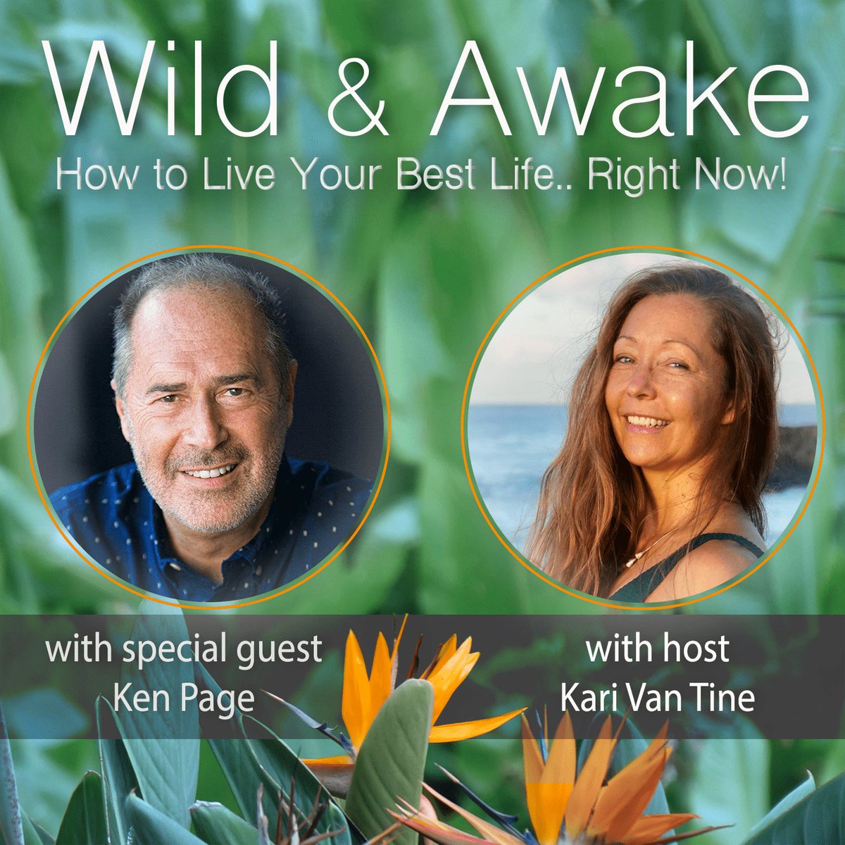 KenPageLCSW's tweet photo. Check out my fascinating interview with teacher/healer Kari Van Tine on her powerful and inspiring online retreat - WILD AND AWAKE: How to Live Your Best Life Right Now!
https://t.co/Fd8crYP1ca
#wildandawake #consciousnessgrowth #rewilding #rewildyourmind #liveyourbestlife https://t.co/pXrCeo1asW