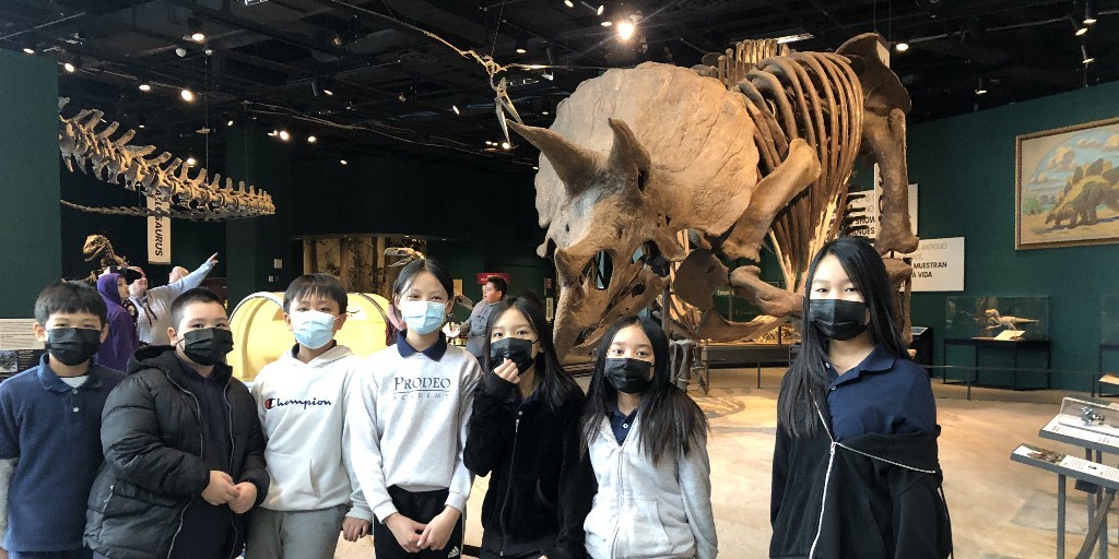 Prodeo Academy tweet media