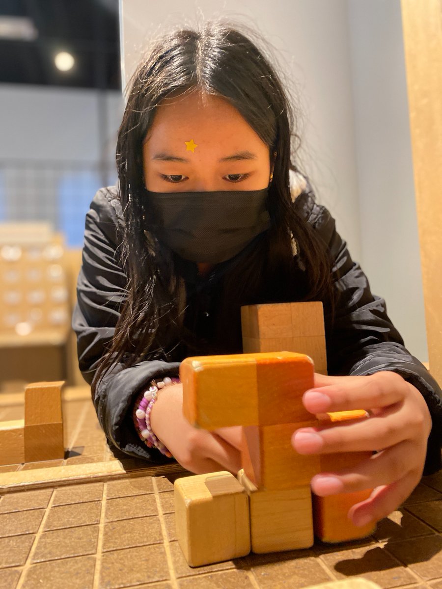 Prodeo Academy tweet media