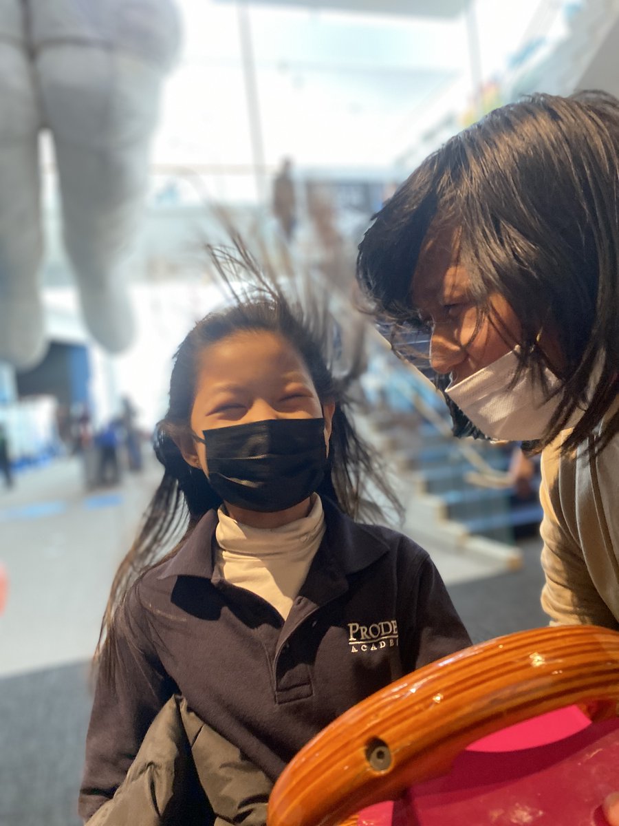 Prodeo Academy tweet media