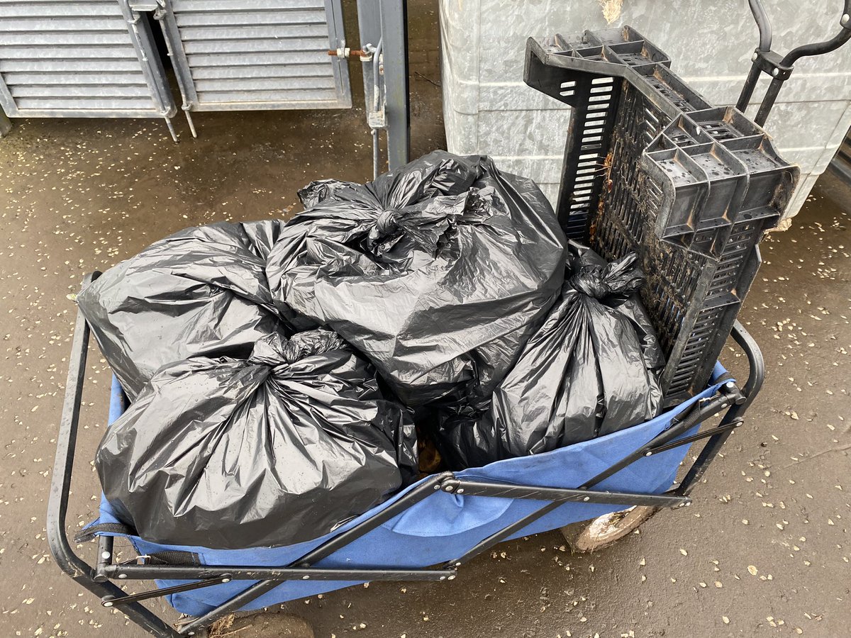 dpsforestschool tweet media