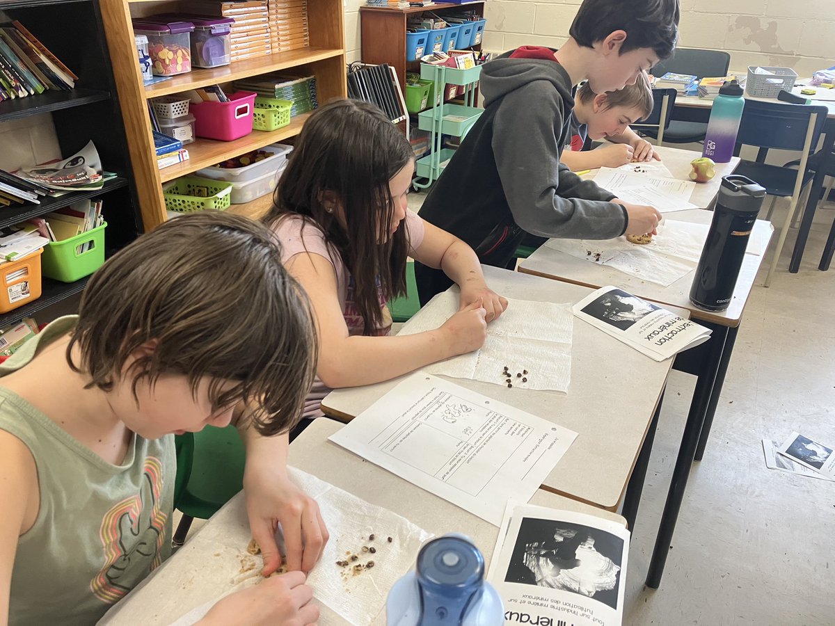 Seaside Elementary tweet media