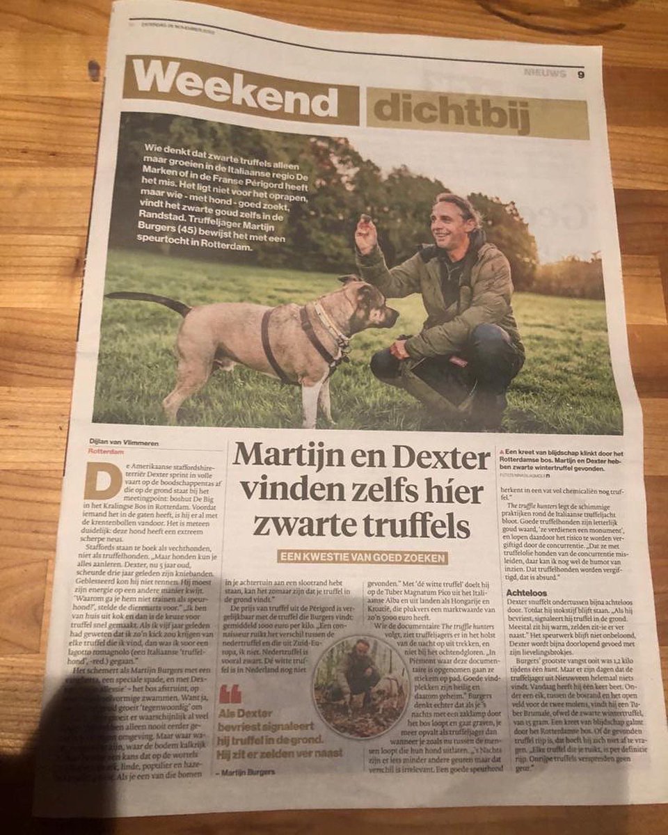 chefsbrigade's tweet photo. @marcelbar8 @Bianca_0077 Dit ben ik met mijn hond Dexter. Wij vinden veel truffels in de bosgebieden rondom agrarische bedrijven. Truffels zouden niet tegen teveel stikstof kunnen. Leg me eens uit waarom ik dan toch truffels vind.. https://t.co/mPqC7DS0KE
