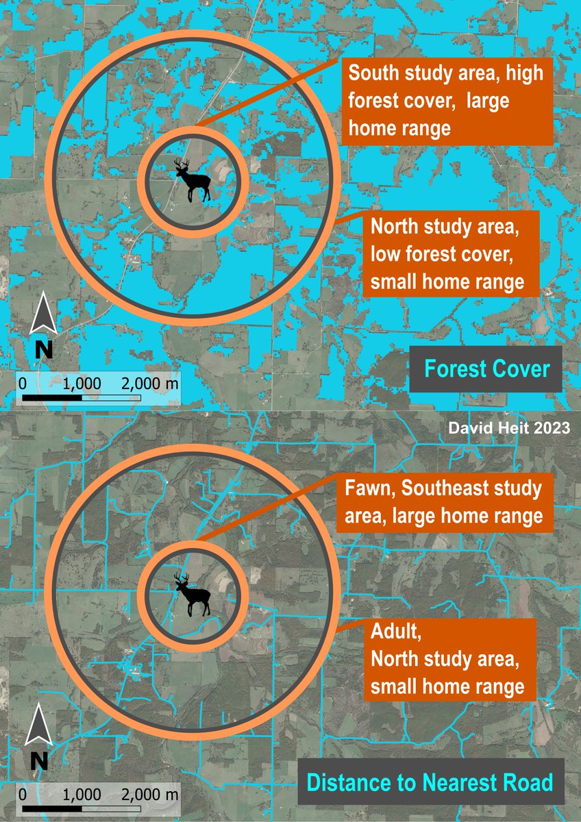 David Heit tweet media