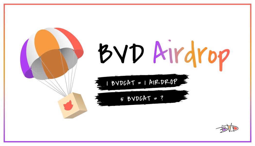 BVD tweet media