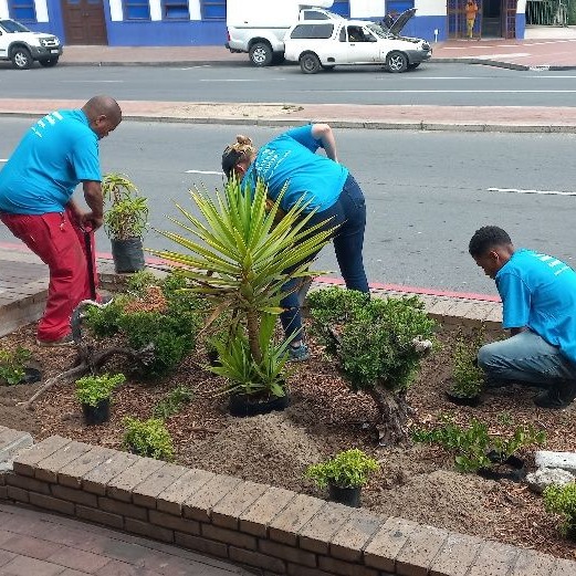 gtp_the's tweet photo. Well done to the beautification team from the better. bellvlle. together. campaign for the incredible work you did today replanting the planters. Fixing bricks and painting the border still to come!

#betterbellvilletogether #beautification #garden #myGTP #CoCT https://t.co/Q5LIuR4rIv