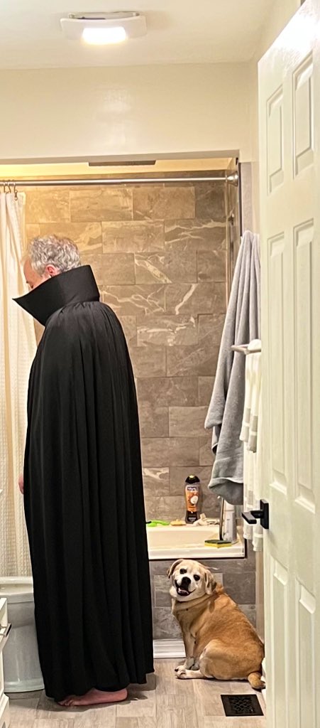 TheMrsLevy's tweet image. Just a day in the life of Levy