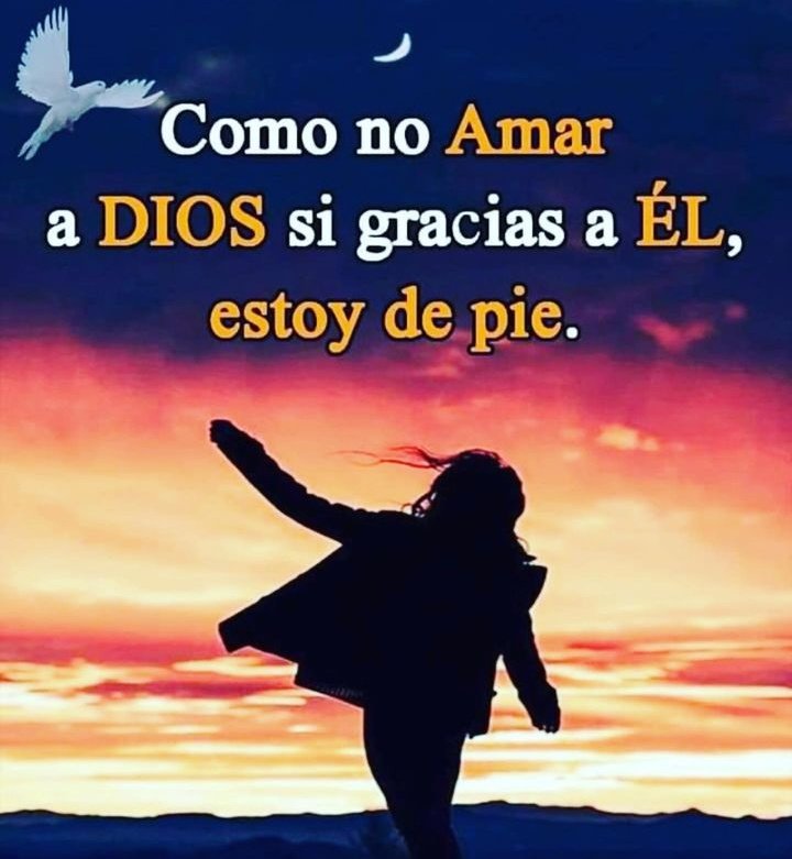 Julissa10014645's tweet photo. Cómo no amarte !! ❤️🙌😌 https://t.co/RQWRvTe4DM