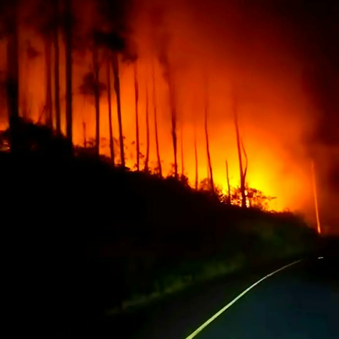 sanjosefusave's tweet photo. Desde  esta tarde se  reporta  y continúa incendio forestal en  la #ReservaForestalaYeguada en #Calobre #Veraguas .Muchas especies de #Vegetacion y #fauna han muerto #sosbiodiversidad #LaYeguada #sosfauna https://t.co/yFdWKA4oEp