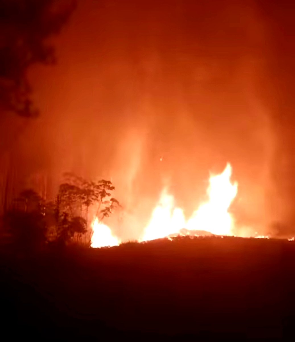 sanjosefusave's tweet photo. Desde  esta tarde se  reporta  y continúa incendio forestal en  la #ReservaForestalaYeguada en #Calobre #Veraguas .Muchas especies de #Vegetacion y #fauna han muerto #sosbiodiversidad #LaYeguada #sosfauna https://t.co/yFdWKA4oEp