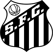 O Bot de Tudo tweet media