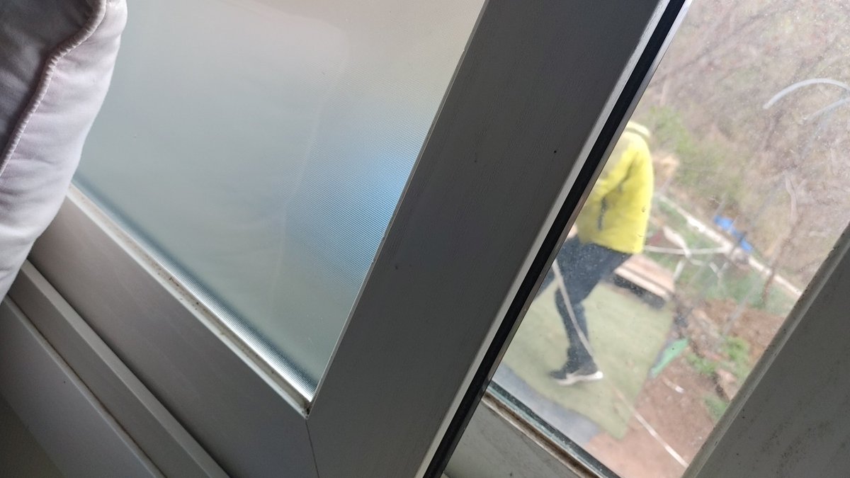 어떤 사람이 우리집 개 데려가려다가 나한테 걸렸다
자기네 잃어버린 개인줄 알았다는데 울타리에 개집까지 있는데 집에 있는 사람한테 물어봤어야 하는거 아닌가?
진도개라 안 좋은 생각이 계속 드네ㅡㅡ