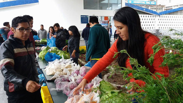 AlejandroAguir7's tweet photo. ¿Qué pedimos en la LOES? -Que los réditos económicos producidos en las facultades se quede en las facultades respetando la autonomía de las U y no a engordar el bolsillo del Estado que no lo reinvierte en educación! #FEUE #LOESDemocratica #AutonomíaUniversitaria https://t.co/K9UqCeMf9j