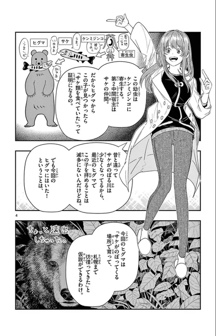 ヒグマのおしりから出る寄生虫を探す研究者。
2/5 