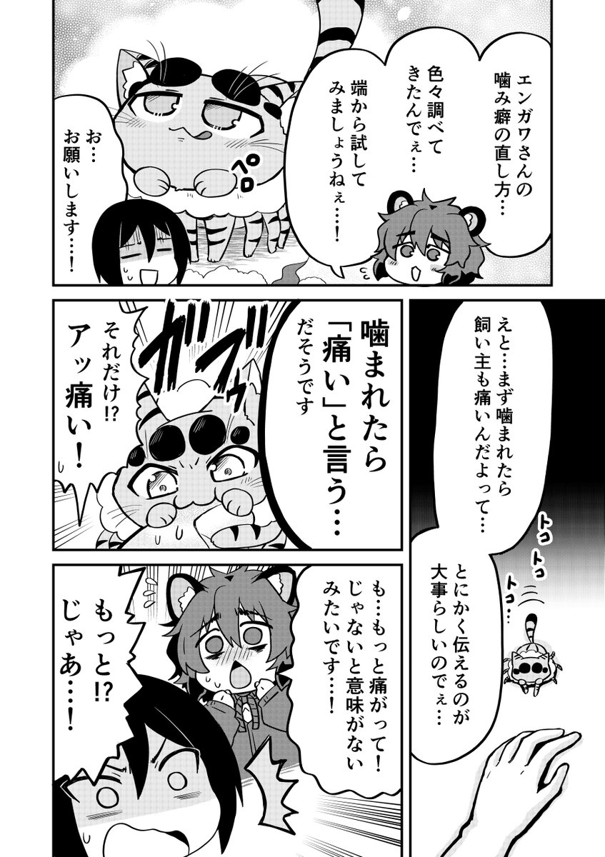 猫みたいな蜘蛛の噛み癖をなおす話🐈1/4
#創作漫画
#漫画が読めるハッシュタグ