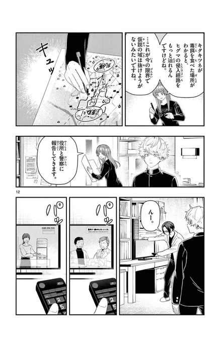ヒグマのおしりから出る寄生虫を探す研究者。
4/5 