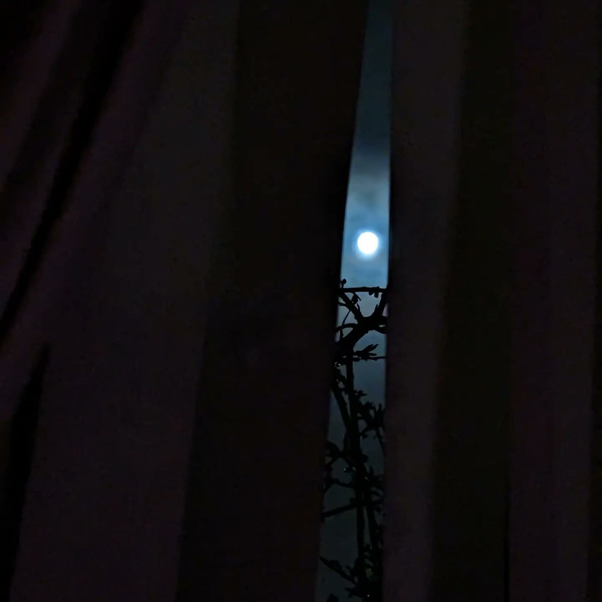 smbslt's tweet photo. When #reading #tunedin to your #book glance up #windowview + see the #moon #moonlight #views #throughtheblinds #branches #nature #sky #skyatnight #moonthatspellsmoon 📚🥰 #happy #itsthelittlethings #moonpic #moonpics #moonpicture #moonpictures #moonlovers #mobilephonephotography https://t.co/VSLnxW5GcQ