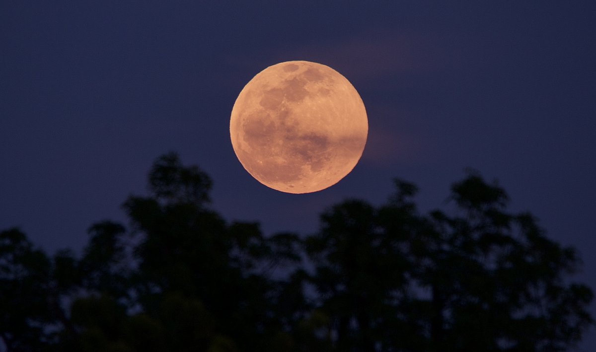ShorealoneFilms's tweet photo. It’s a #FullPINKMoon out there tonight. Ya’ll be safe. #FullMoon #PinkMoon 04-05-23 https://t.co/TDUPkWd5hI
