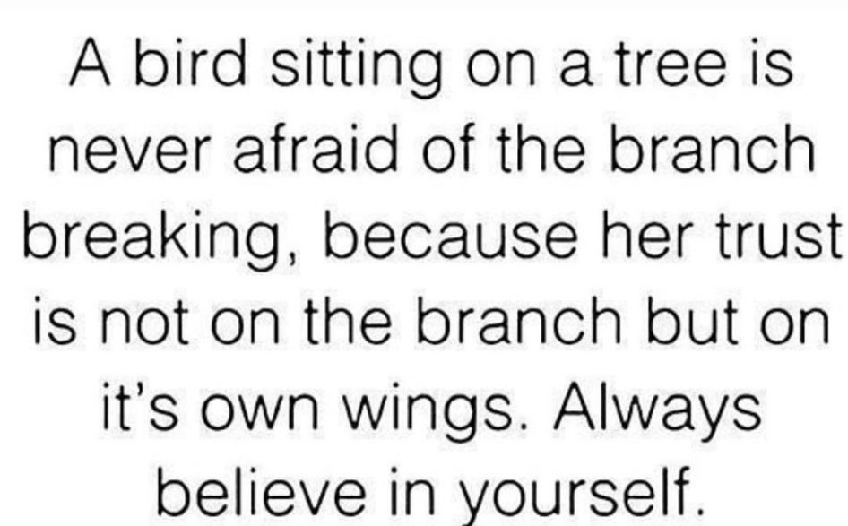 Vanessia tweet media