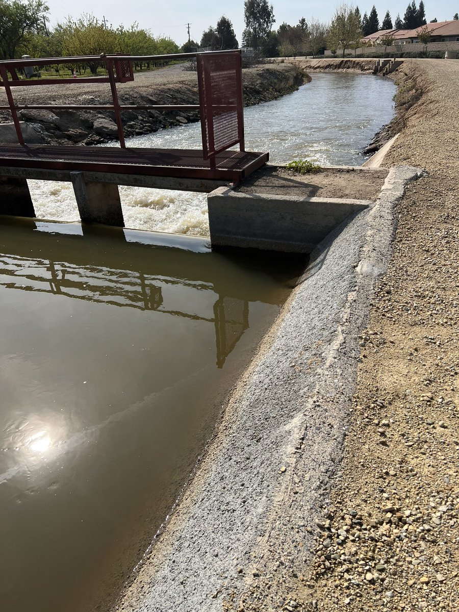 Lots of water on my walk today. Wondering how it will change when the snow starts melting .