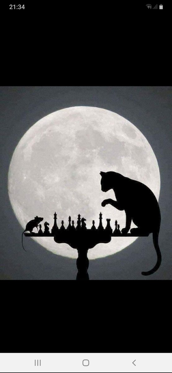pati_ivan's tweet photo. Buena noche!🌜🖤 https://t.co/NouGkOnEJS