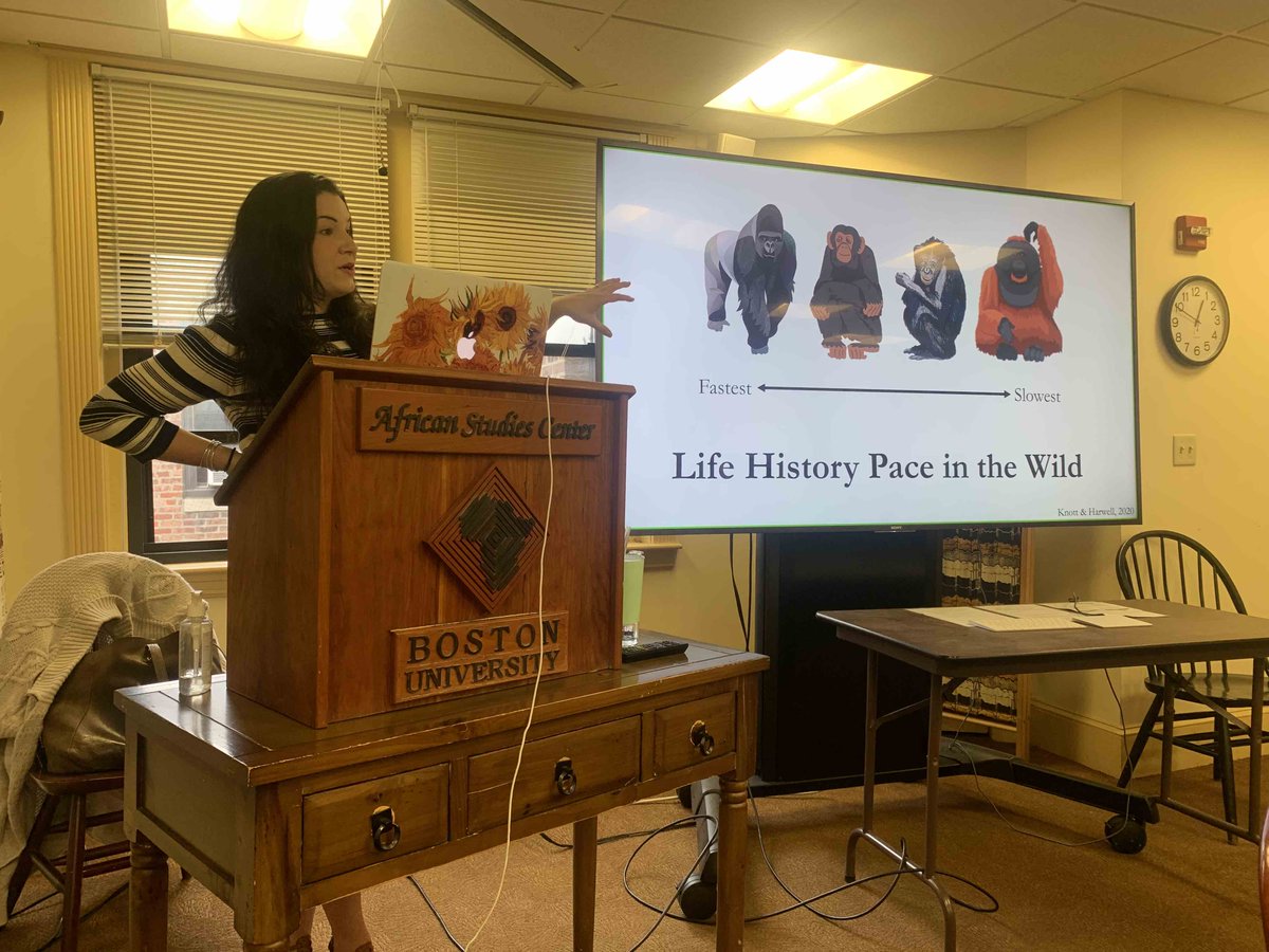 Congratulations to my PhD student, Faye Harwell, who successfully defended her PhD thesis at Boston University today entitled "Investigation of the Life History, Male Bimaturism and Sex Differences of Orangutans"! Fantastic job Dr. Harwell!
