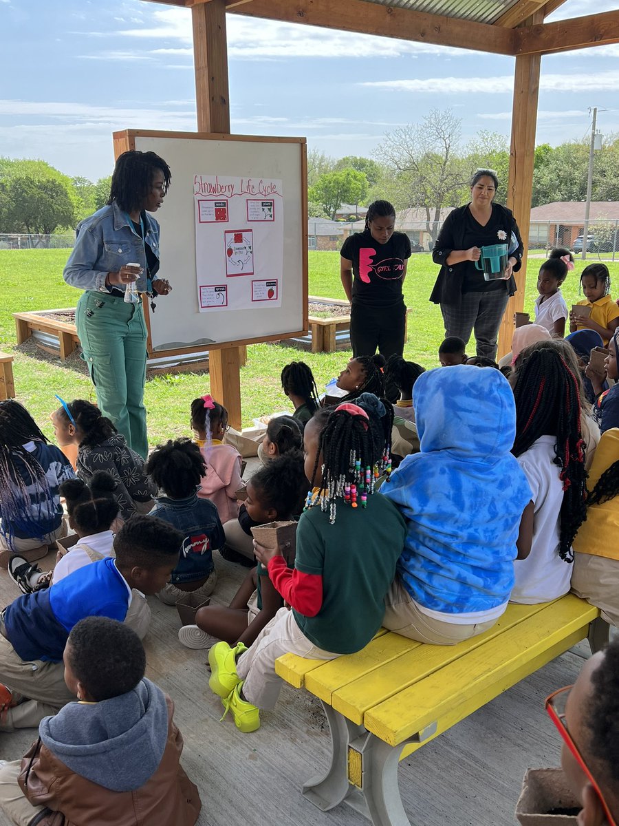 marsalis_l's tweet photo. Working Together Wednesday! Kindergarten’s got a green thumb and learning about the life cycle. #WOYC23 @ICanReadDallas @OutTeach_Tx @disdeec https://t.co/2iKnr2N8y5