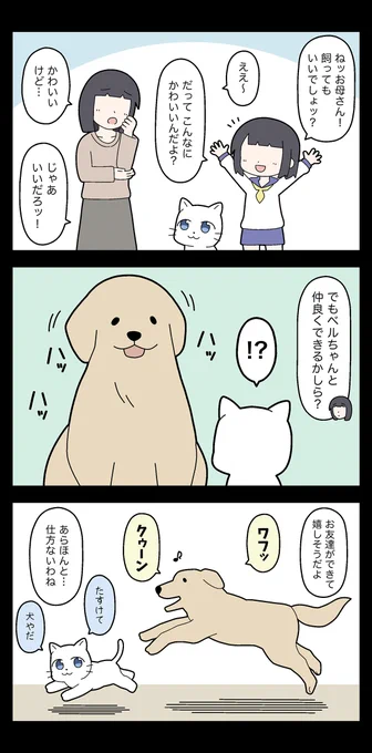 野良ネコが飼いネコになるまで4 
