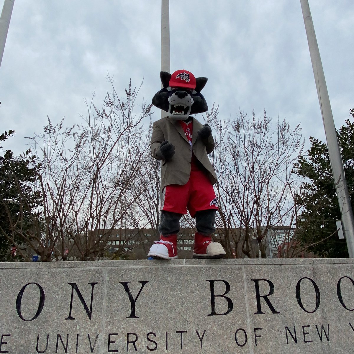stonybrooku's tweet photo. Has it been 12 hours since you last voted in #MascotMadness? 

You can vote again here: https://t.co/kSxlqhkKeK https://t.co/qGgQh0gA8S