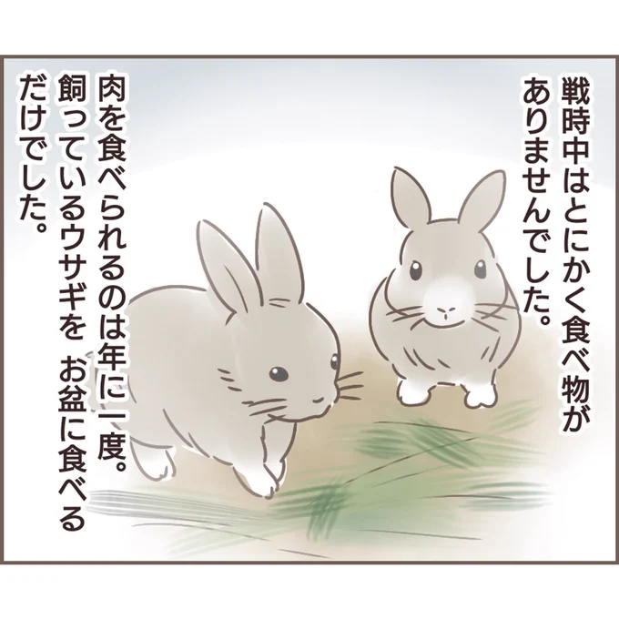 親に捨てられた私が日本一幸せなおばあちゃんになった話【48】
#エッセイ漫画 #漫画が読めるハッシュタグ (1/2) 
