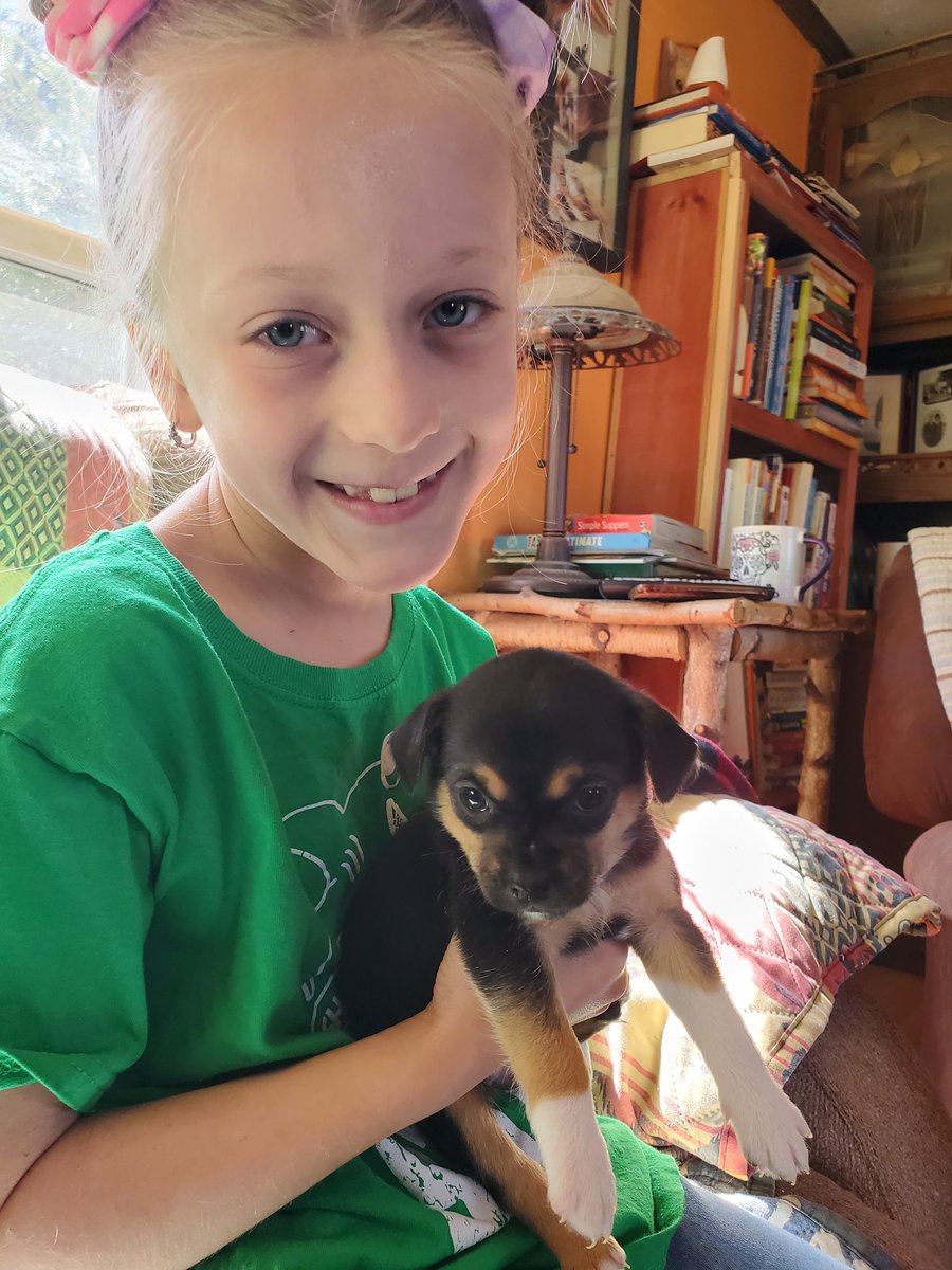 Steveomarie's tweet photo. @kateesackhoff we get to pick up our new puppy this Saturday..... I'd like you to meet my daughter Athena and our soon to be puppy Bo 😉 #Mandalorian #BoKatan https://t.co/kDOBVENIsP