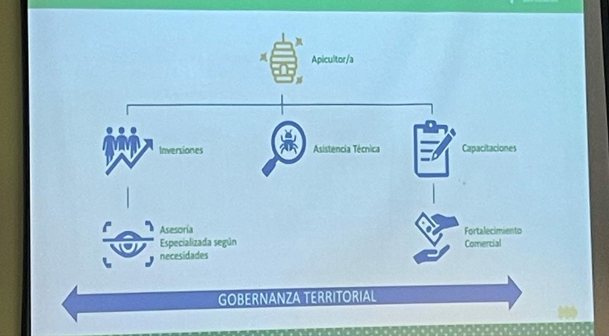 Apiaustral A.G. tweet media