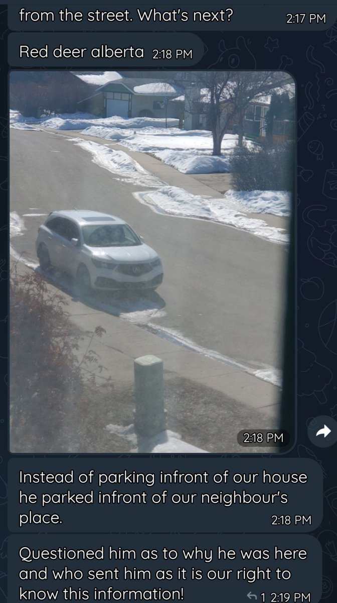 Dr. Christine Sarteschi, LCSW on Twitter "Looks like a Romana Didulo