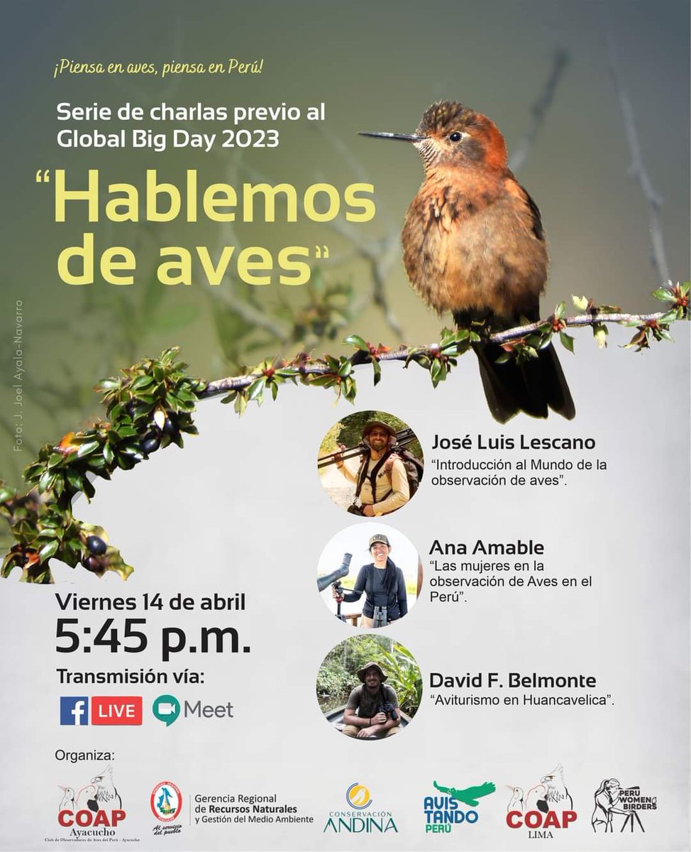 Alejandro781101's tweet photo. ¡PREPARÀNDONOS PARA EL GLOBAL BIG DAY 2023!
🦅🦇🦩🦜
Previo al #GlobalBigDay2023, te invitamos a participar en la Charla:
"HABLEMOS DE AVES", este viernes, 14 de abril a las 5:45 p.m.
👉INCRIPCIONES: https://t.co/y0INR83PKw
¡Te esperamos! https://t.co/MrQQho4Mge
