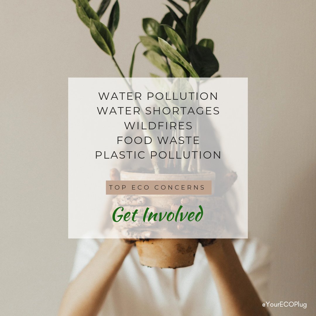 yourecoplug's tweet photo. There is time, get involved. #plasticpollution #eco #SaveTheBees #ecofriendly #savetheplanet #sustainable #Sustainability #pollution #yourecoplug https://t.co/a3sC4cg3Or