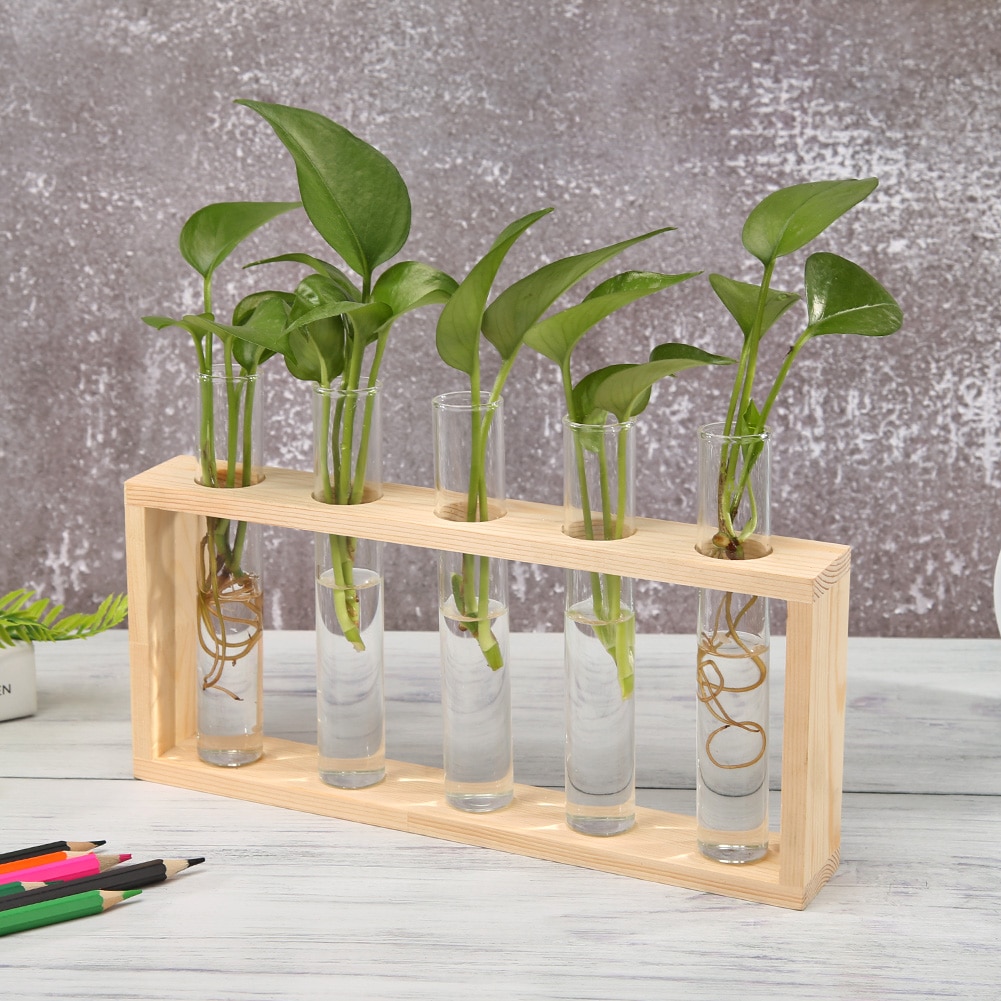 Nordic Style Glass and Wood Vase #new #brand gulio.shop/product/nordic…