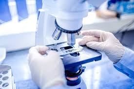 Bio-Identical Biology, is bringing together engineers and biologists to design and build novel biomolecular components, networks and pathways, to use these constructs to rewire and reprogram organisms. These re-engineered organisms will change our lives over the coming years.