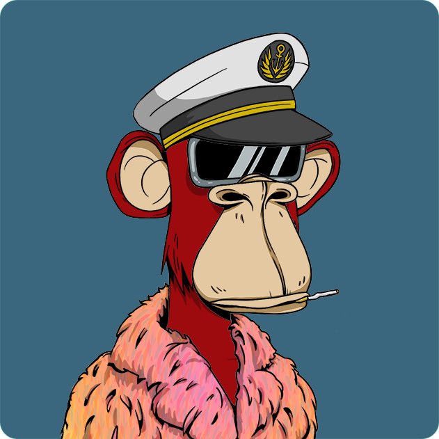 jimbol14's tweet photo. I love my ape https://t.co/BpF1NJScgl