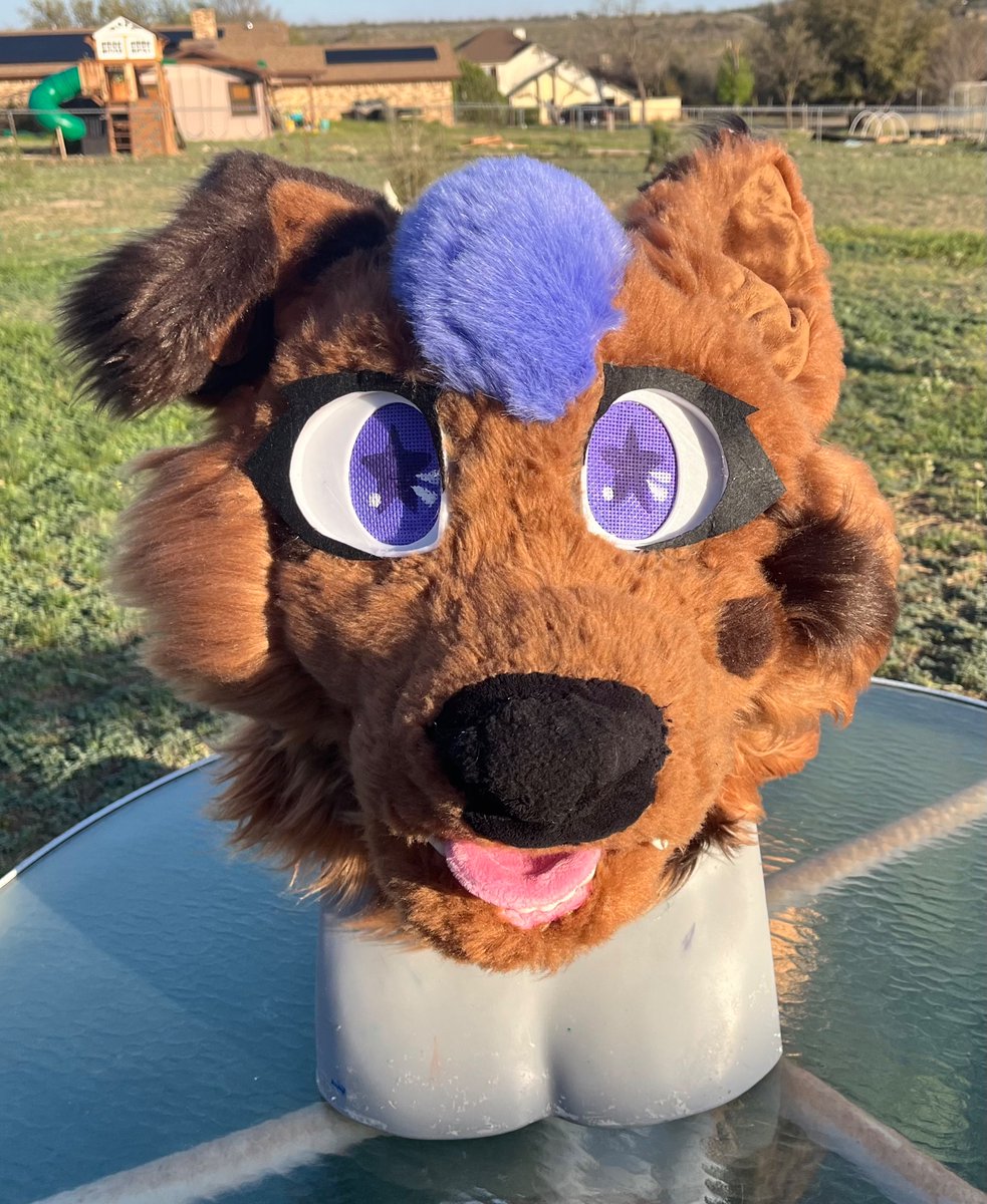 Dog_Is_Shark's tweet photo. Refurb I finished
#furry #fursona #furryart #fursuit https://t.co/louExAGHqi