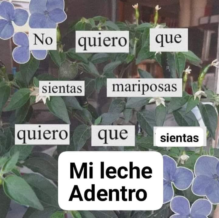 boriingboy's tweet photo. Buenas. https://t.co/qpZe1iejbY