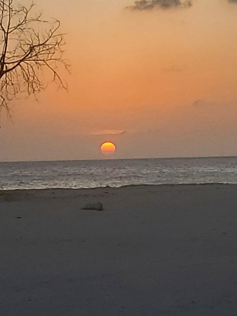 life is like a box of chocolate you never know what you are going to get but you eat it anyway 😎🙏