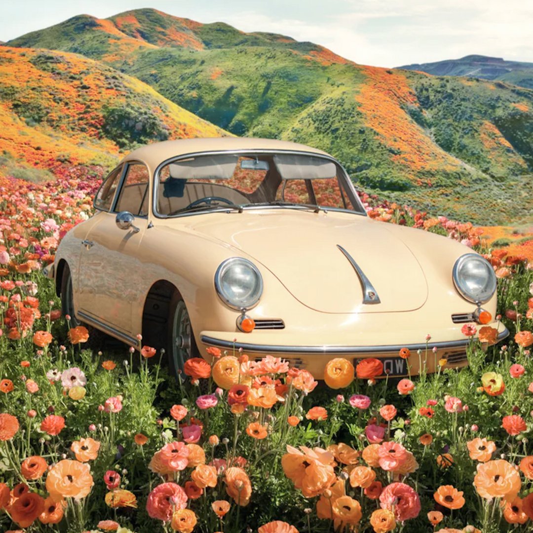 murchisonhume's tweet photo. HOW TO WASH THE CAR. 🚗 The one crucial thing you have to remember is to START ON THE INSIDE. Find out the hows, whats and whys on the #mh #homejournal today. #howtocleananything #linkinbio 🎨:paulfuentes_design https://t.co/EFcpJUlklr