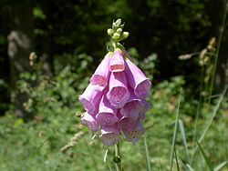 The Buzz from Bliss April 2023 - mailchi.mp/4f1256047a0b/t…